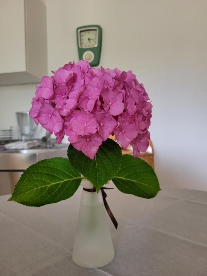 Ferienwohnung Sonnenschein Obernkirchen Экстерьер фото